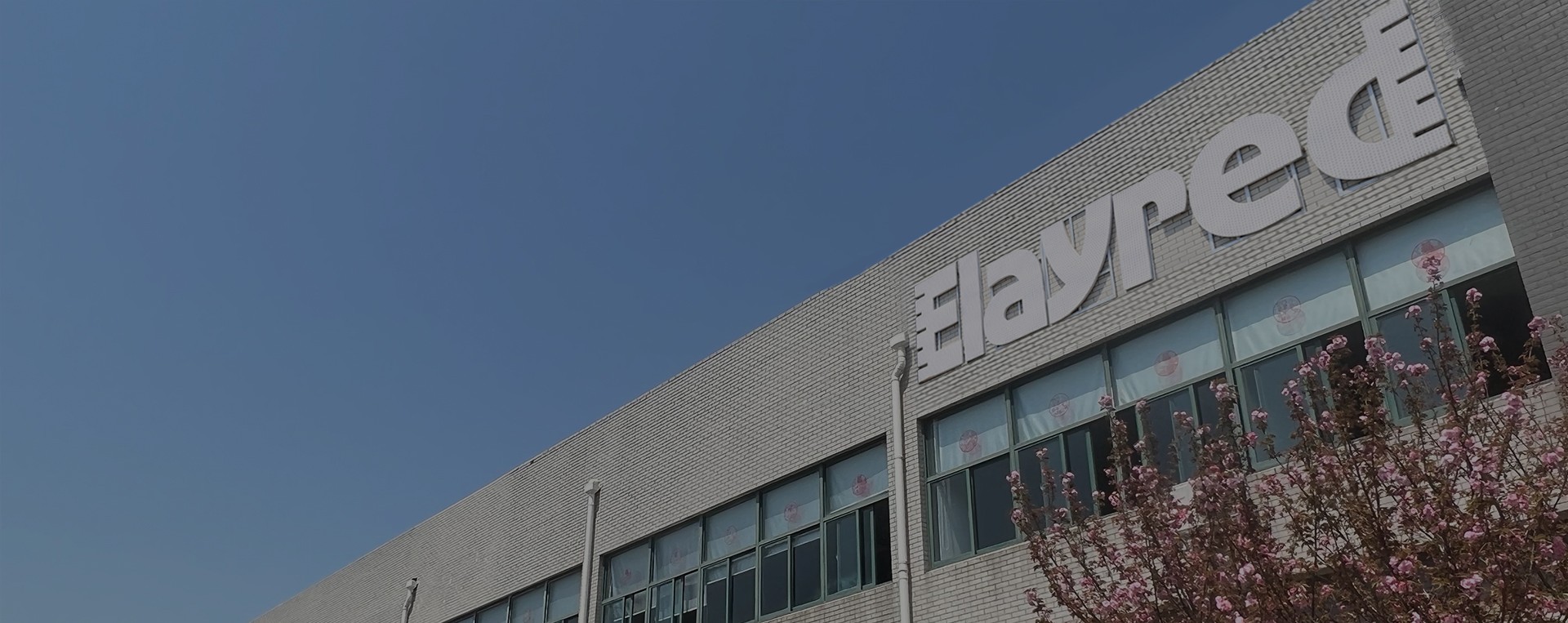 About Elayred