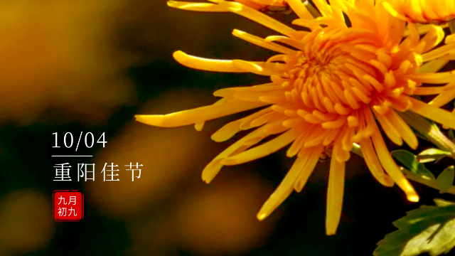 Today's Double ninth | after the autumn Double Ninth Festival, when chrysanthemum climbing!